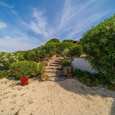 Apartment Da 6 A 8 Persone